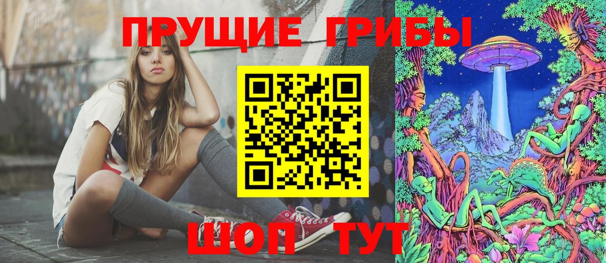 Александров  Псилоцибиновые грибы GOLDEN TEACHER  Псилоцибиновые грибы Psilocybine cubensis  Вход с VPN 