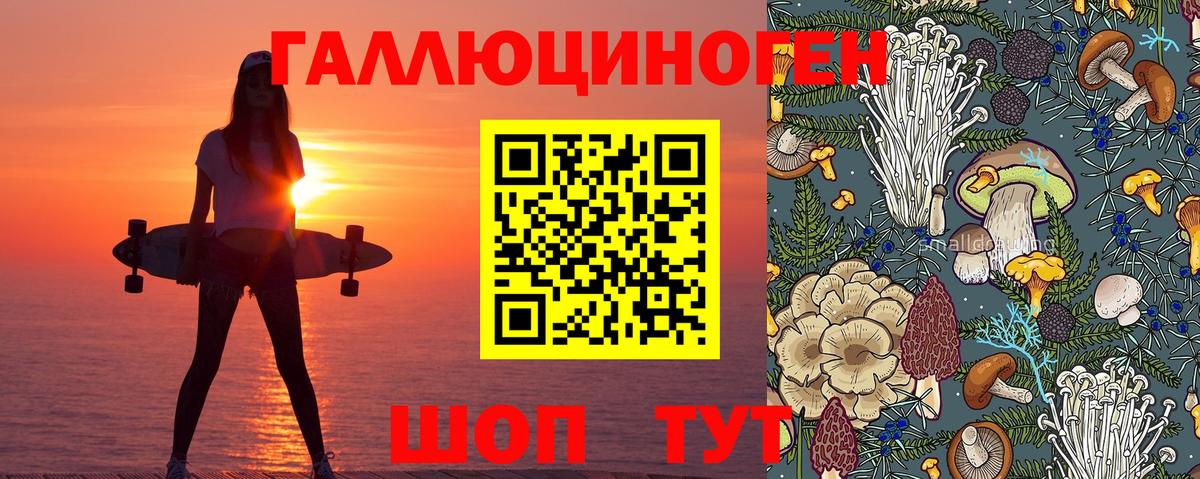 Псилоцибиновые грибы GOLDEN TEACHER Александров